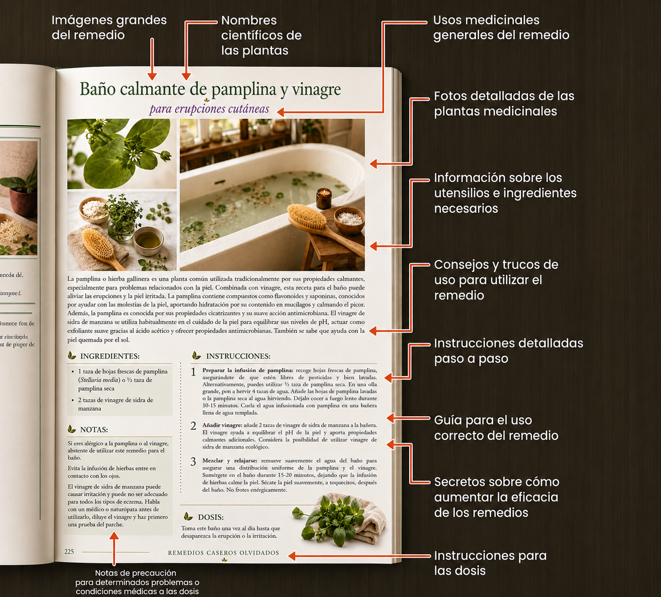 Ficha técnica de un remedio: imágenes grandes, nombres científicos, ingredientes, instrucciones paso a paso, dosis y advertencias